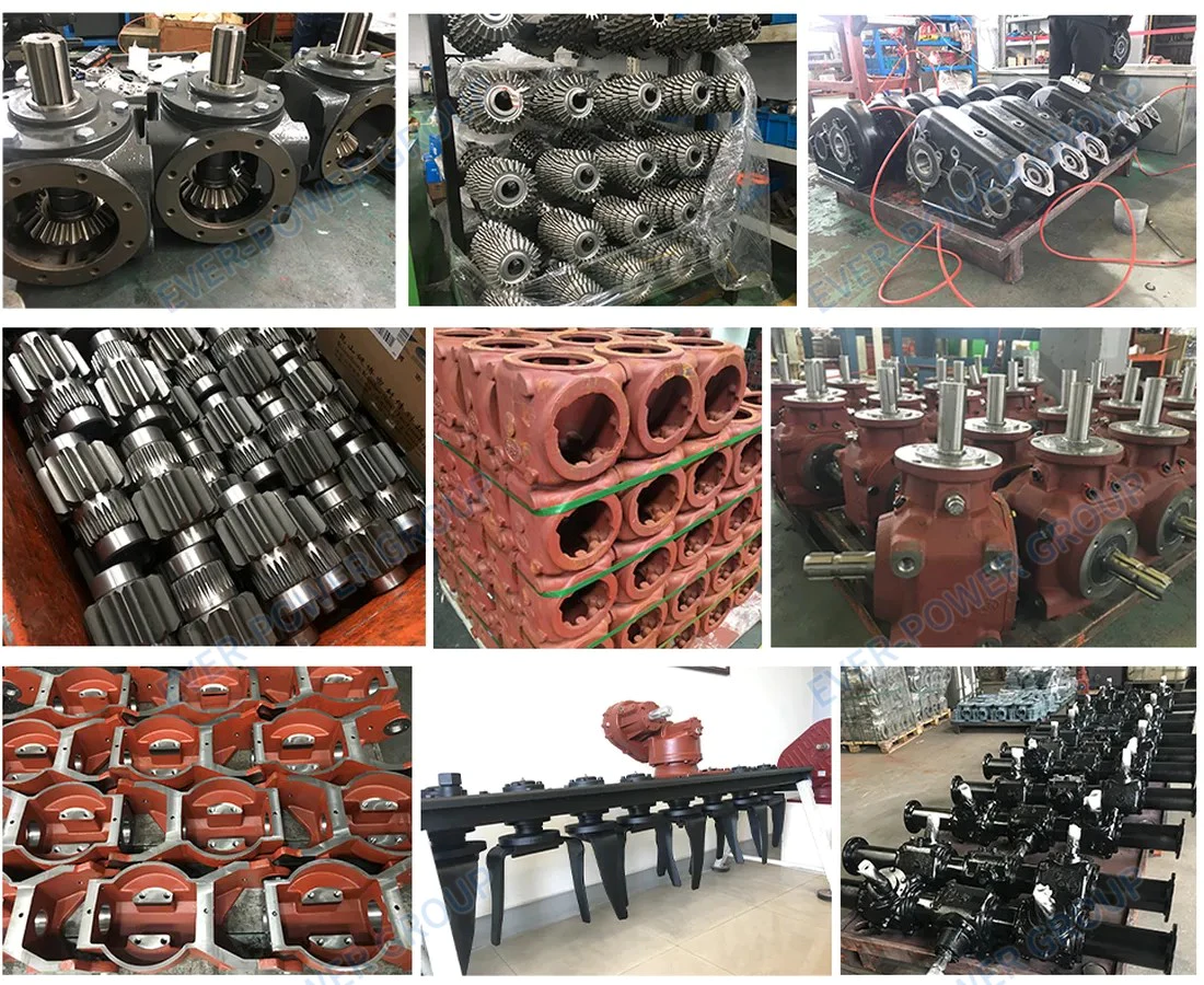 Ever-power Australia Mower Gearbox Co.,Ltd. manufacturing facility